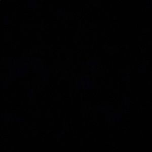 Meet your Posher, Randy